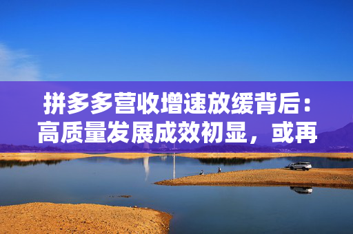 拼多多营收增速放缓背后：高质量发展成效初显，或再投千亿加码商家扶持