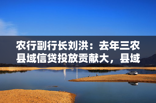 农行副行长刘洪：去年三农县域信贷投放贡献大，县域贷款余额增量突破1万亿