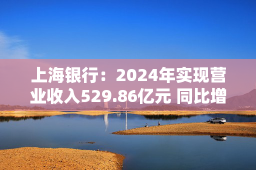 上海银行：2024年实现营业收入529.86亿元 同比增长4.79%