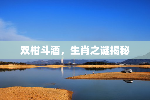 双柑斗酒，生肖之谜揭秘