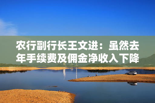 农行副行长王文进：虽然去年手续费及佣金净收入下降5.7%，但较前三个季度有所收窄