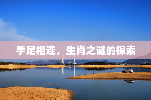 手足相连，生肖之谜的探索