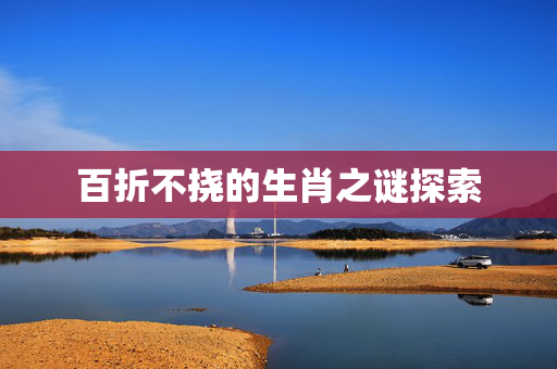 百折不挠的生肖之谜探索