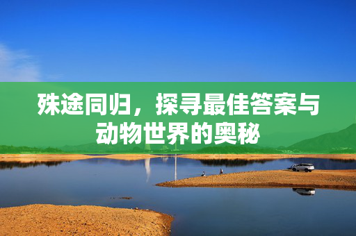 殊途同归，探寻最佳答案与动物世界的奥秘