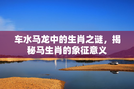 车水马龙中的生肖之谜，揭秘马生肖的象征意义