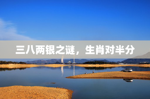 三八两银之谜，生肖对半分