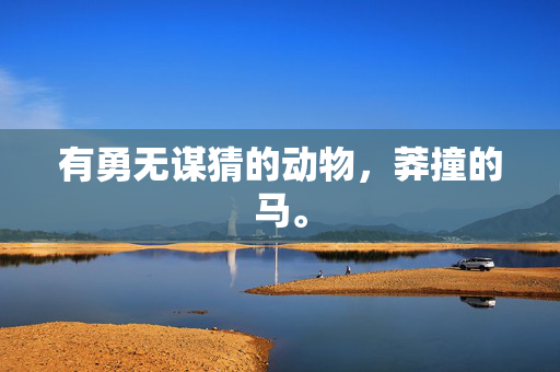 有勇无谋猜的动物，莽撞的马。