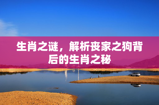 生肖之谜，解析丧家之狗背后的生肖之秘
