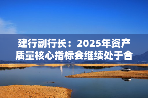 建行副行长：2025年资产质量核心指标会继续处于合理区间