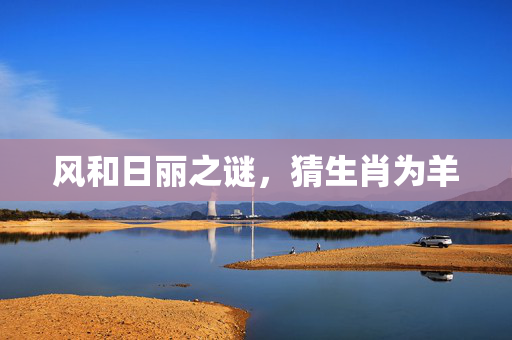 风和日丽之谜，猜生肖为羊