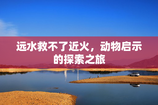 远水救不了近火，动物启示的探索之旅