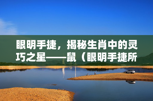 眼明手捷，揭秘生肖中的灵巧之星——鼠（眼明手捷所指的生肖）