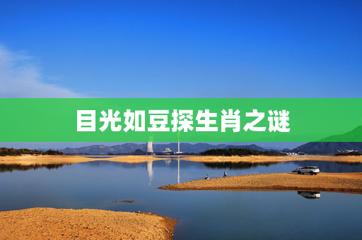 目光如豆探生肖之谜