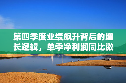 第四季度业绩飙升背后的增长逻辑，单季净利润同比激增466%