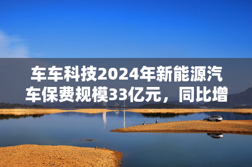 车车科技2024年新能源汽车保费规模33亿元，同比增幅127.8%