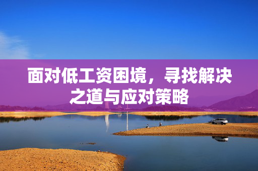 面对低工资困境，寻找解决之道与应对策略