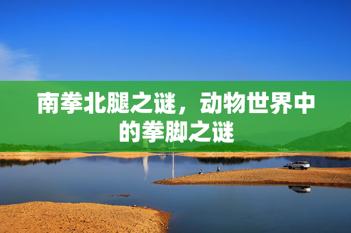 南拳北腿之谜，动物世界中的拳脚之谜