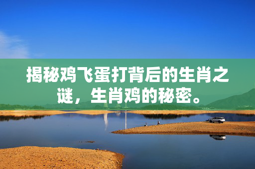 揭秘鸡飞蛋打背后的生肖之谜，生肖鸡的秘密。