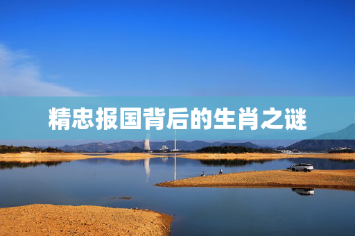 精忠报国背后的生肖之谜