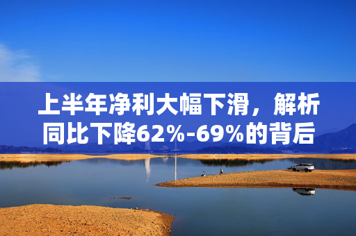 上半年净利大幅下滑，解析同比下降62%-69%的背后原因