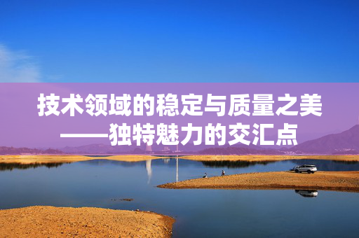 技术领域的稳定与质量之美——独特魅力的交汇点