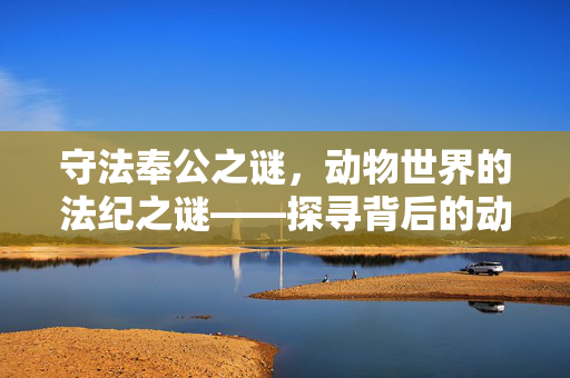 守法奉公之谜，动物世界的法纪之谜——探寻背后的动物世界