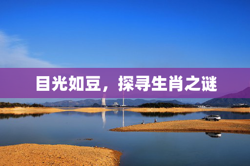 目光如豆，探寻生肖之谜