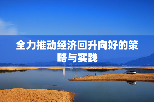 全力推动经济回升向好的策略与实践