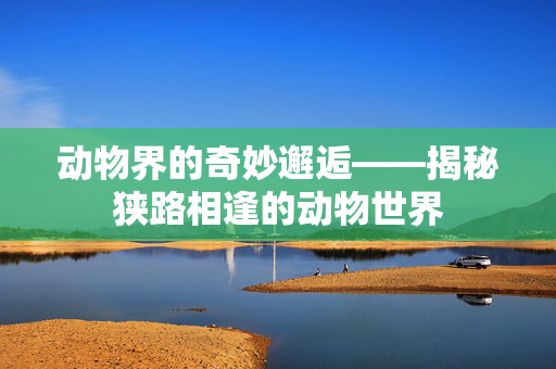 动物界的奇妙邂逅——揭秘狭路相逢的动物世界