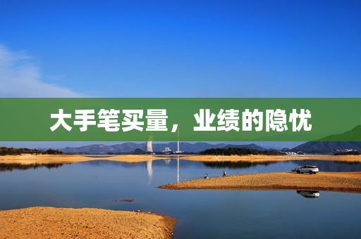 大手笔买量，业绩的隐忧