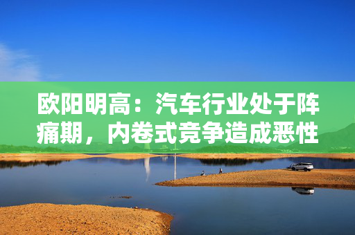 欧阳明高：汽车行业处于阵痛期，内卷式竞争造成恶性循环