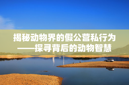 揭秘动物界的假公营私行为——探寻背后的动物智慧