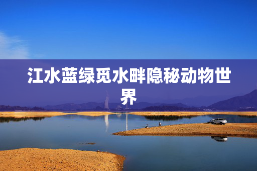 江水蓝绿觅水畔隐秘动物世界