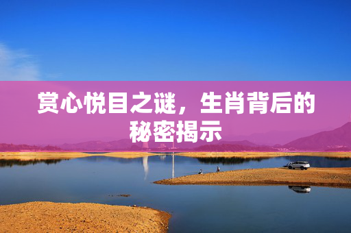 赏心悦目之谜，生肖背后的秘密揭示