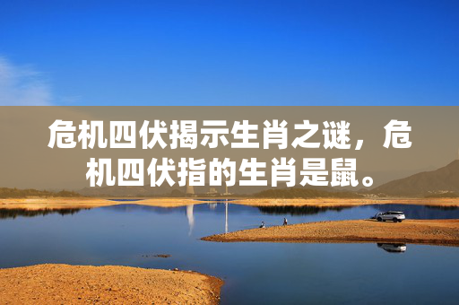 危机四伏揭示生肖之谜，危机四伏指的生肖是鼠。