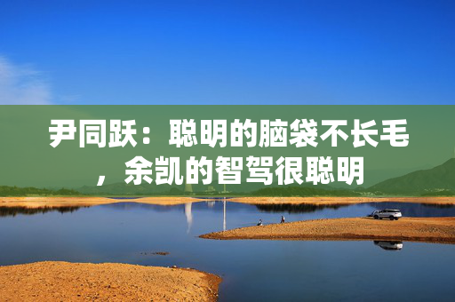 尹同跃：聪明的脑袋不长毛，余凯的智驾很聪明