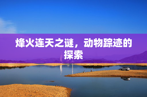 烽火连天之谜，动物踪迹的探索