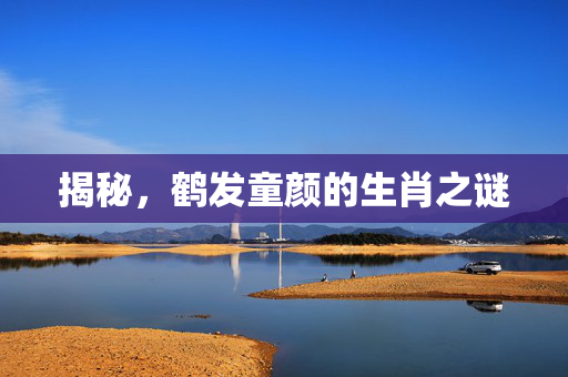 揭秘，鹤发童颜的生肖之谜