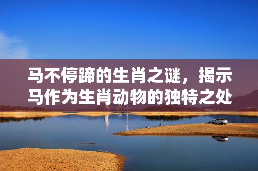 马不停蹄的生肖之谜，揭示马作为生肖动物的独特之处