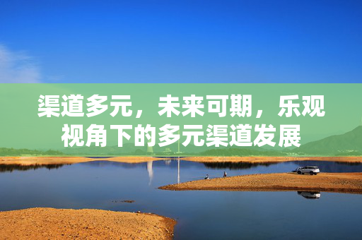 渠道多元，未来可期，乐观视角下的多元渠道发展