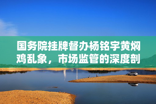 国务院挂牌督办杨铭宇黄焖鸡乱象，市场监管的深度剖析与未来展望