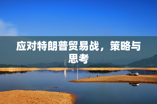 应对特朗普贸易战，策略与思考