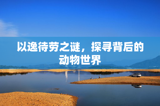 以逸待劳之谜，探寻背后的动物世界