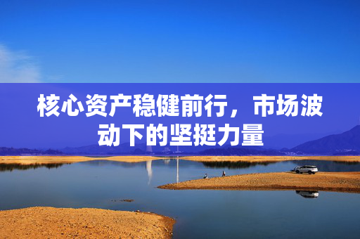 核心资产稳健前行，市场波动下的坚挺力量