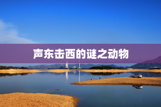 声东击西的谜之动物