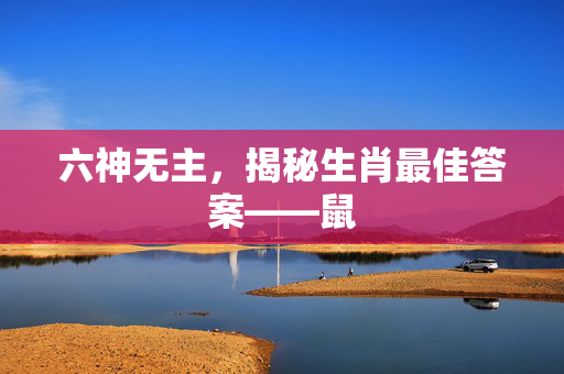 六神无主，揭秘生肖最佳答案——鼠