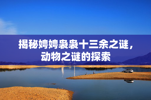 揭秘娉娉袅袅十三余之谜，动物之谜的探索