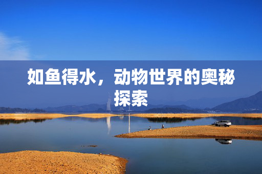 如鱼得水，动物世界的奥秘探索