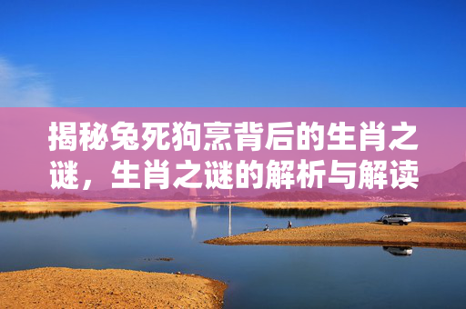 揭秘兔死狗烹背后的生肖之谜，生肖之谜的解析与解读