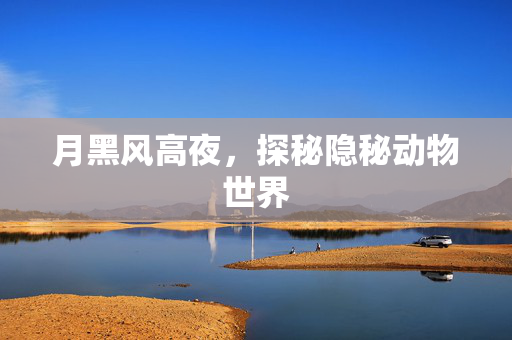 月黑风高夜，探秘隐秘动物世界